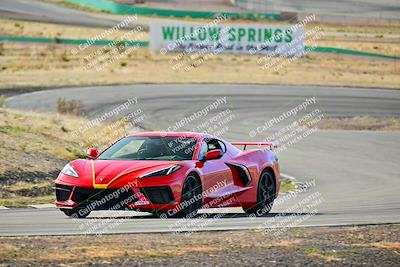 media/Mar-22-2025-West Coast Racing (Sat) [[0d49b412c8]]/Yellow Group/Session 1 (Turn 4-Exterior)/